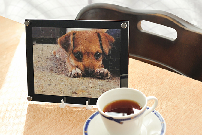 写真パズル 写真パズル